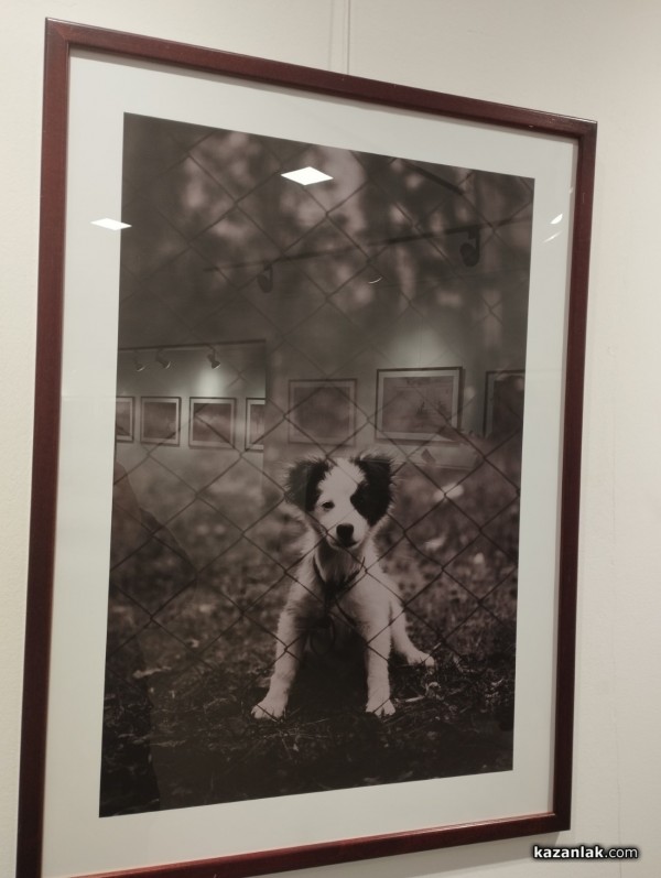 Откриха авторската фотоизложба “Sketch for Dreams“ на Милян Неделкович