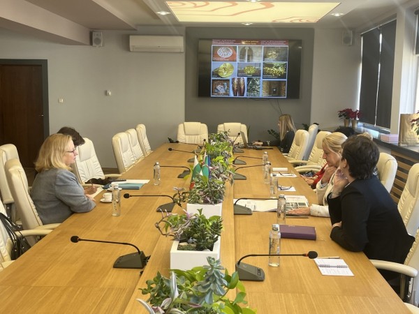 Посланикът на Ирландия на посещение в Града на розите 