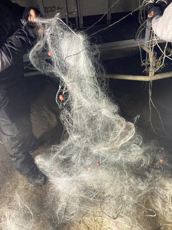 60 риби бяха спасени от мрежите на бракониер на яз. Копринка