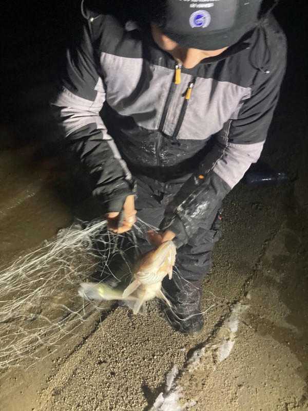 60 риби бяха спасени от мрежите на бракониер на яз. Копринка