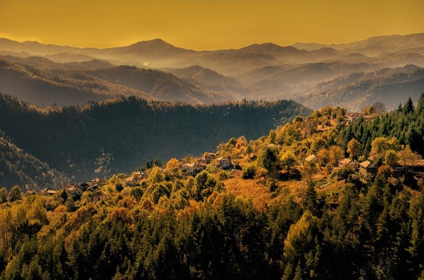 Тодор Тилев спечели бронзов медал от международен фотоконкурс в Токио