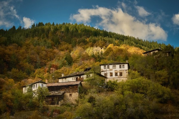 Тодор Тилев спечели бронзов медал от международен фотоконкурс в Токио