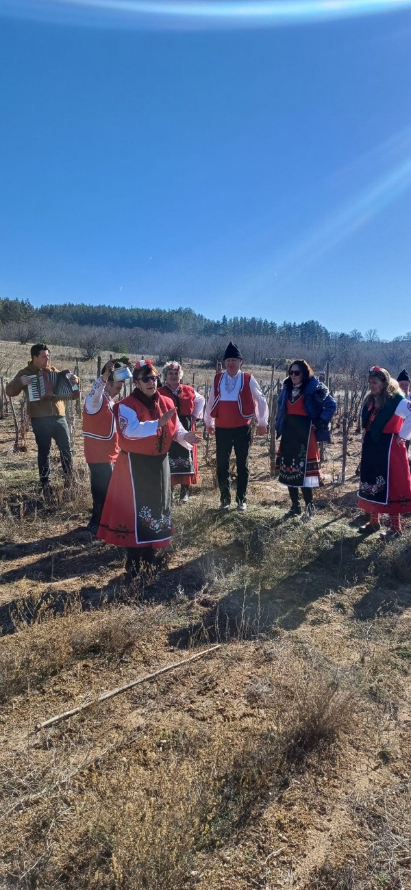 Населените места в казанлъшко спазиха традицията и отбелязаха подобаващо празника “Трифон Зарезан“