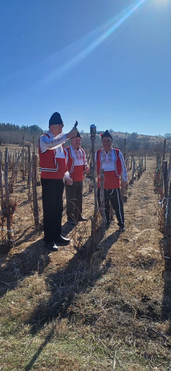 Населените места в казанлъшко спазиха традицията и отбелязаха подобаващо празника “Трифон Зарезан“