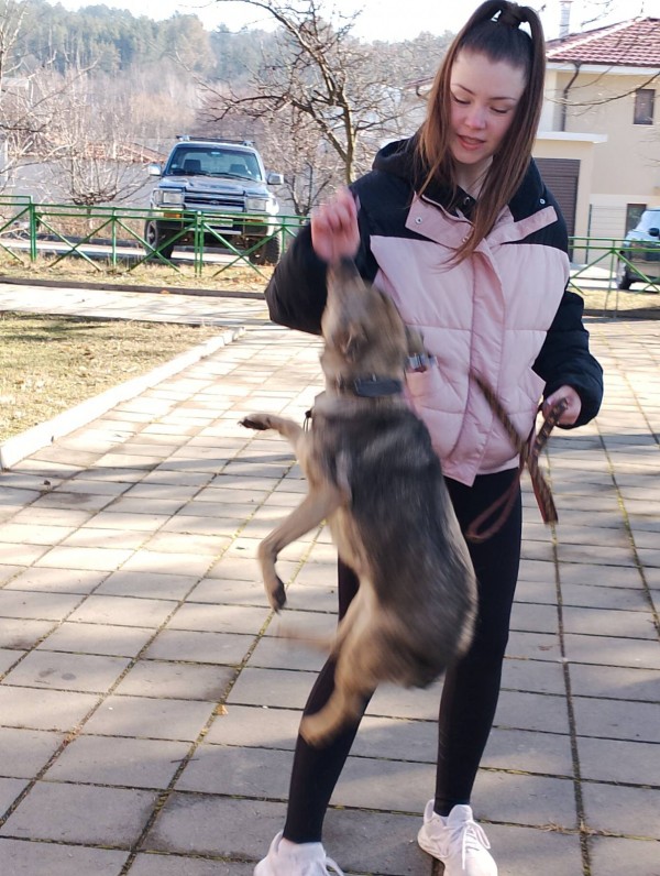 „Спаси лапичка“ или код „Добро“ за човеците