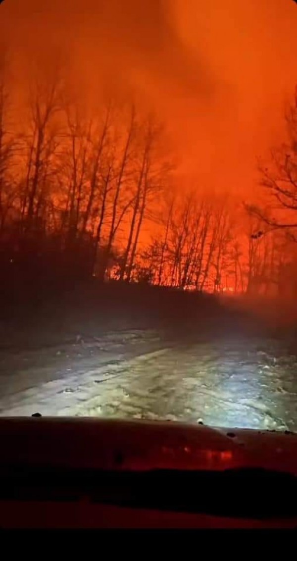 Голям пожар край павелбанското село Виден изпепели 500 декара земя