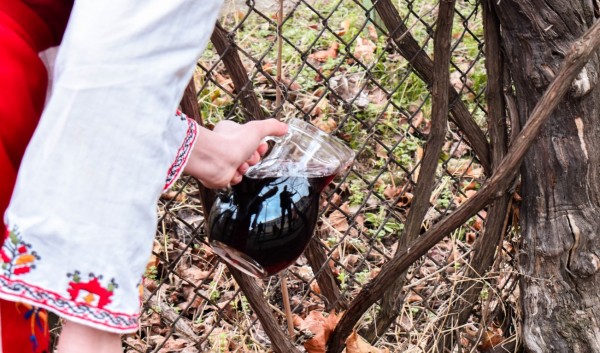 Празници на любовта и виното: 555 валентинки си размениха в ПГЛПТ