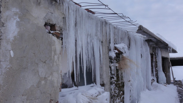 Oриентировачите - ветерани от СК „Орлово гнездо 1957“ Казанлък на върха в скиориентирането с 8 медала