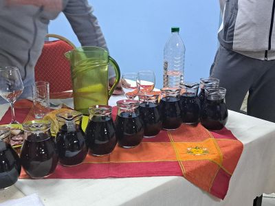 15-и юбилеен винен конкурс организираха спортисти и приятели