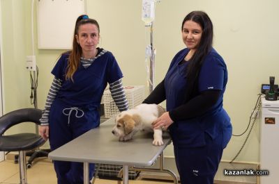 Студентката Таня Голакова се присъединява към екипа на ветеринарна амбулатория „Д-р Кости“ / Новини от Казанлък