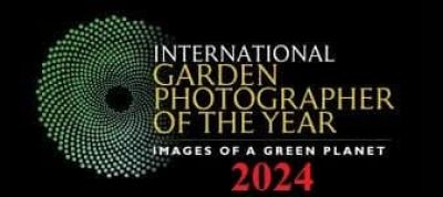 Ново международно отличие спечели фотографа Тодор Тилев 