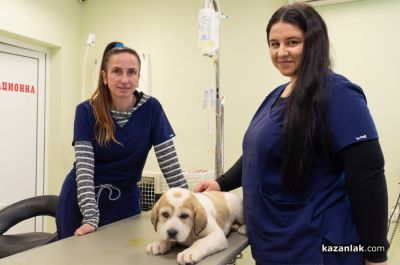 Студентката Таня Голакова се присъединява към екипа на ветеринарна амбулатория „Д-р Кости“