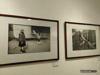 Черно-бели истории от ежедневието на животни и хора, показа пред казанлъшката публика фотографа Красимир Андонов