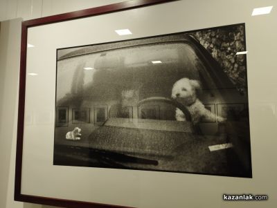 Черно-бели истории от ежедневието на животни и хора, показа пред казанлъшката публика фотографа Красимир Андонов