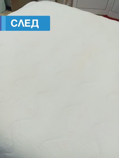 Експресно пране: Професионалните услуги за бизнес клиенти на Лиди Лотос