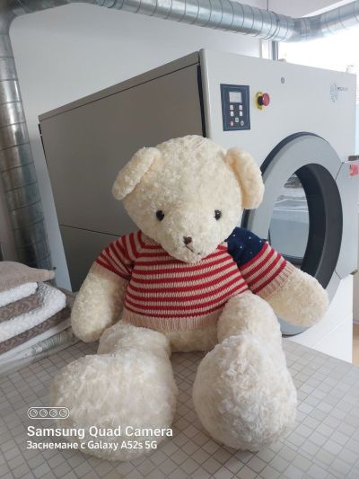 Експресно пране: Професионалните услуги за бизнес клиенти на Лиди Лотос