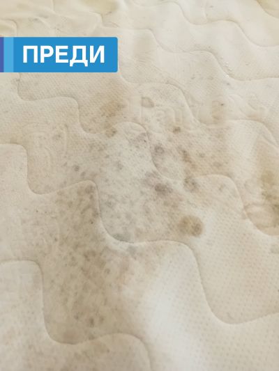 Експресно пране: Професионалните услуги за бизнес клиенти на Лиди Лотос