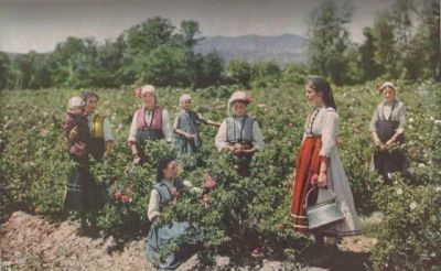 Брой на National Geographic от 1932 г. показва уникални снимки на България и Долина на розите 