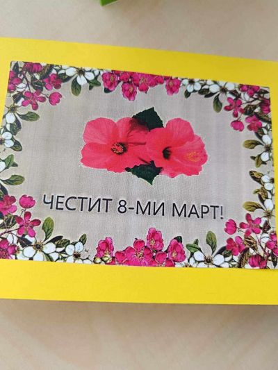 Красиви картички за 8 март, изработиха учениците от ОУ “Мати Болгария“ 