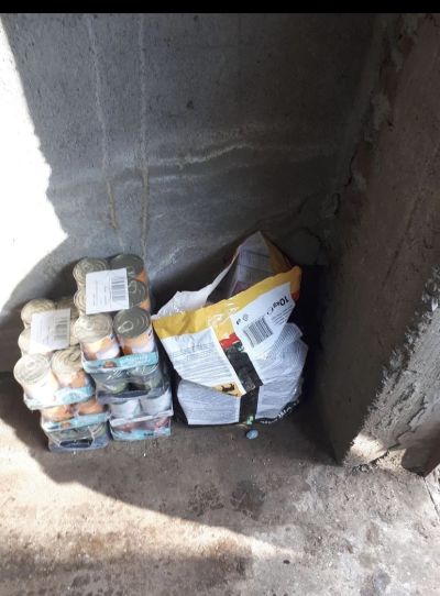 Общинският приют за кучета получи храна от австрийските си партньори