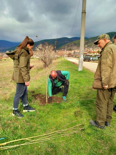 Представители на ДГС “Казанлък“ и кметство Шипка залесиха с медоносни фиданки край входа на подбалканското градче
