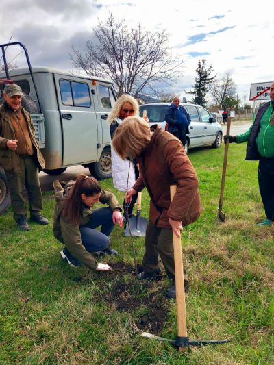 Представители на ДГС “Казанлък“ и кметство Шипка залесиха с медоносни фиданки край входа на подбалканското градче