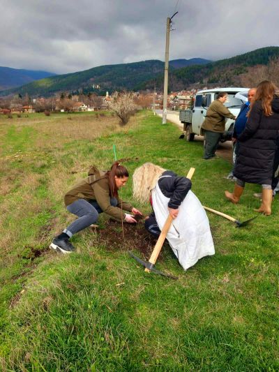 Представители на ДГС “Казанлък“ и кметство Шипка залесиха с медоносни фиданки край входа на подбалканското градче