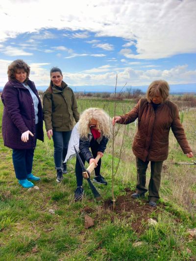 Представители на ДГС “Казанлък“ и кметство Шипка залесиха с медоносни фиданки край входа на подбалканското градче