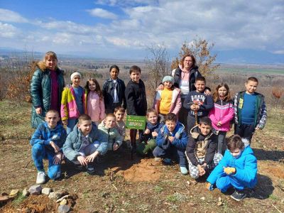 Учители, родители и ученици от ОУ “Св. Паисий Хилендарски“ засадиха дръвчета в изгорялата местност „Гледката“ на парк “Тюлбето” 