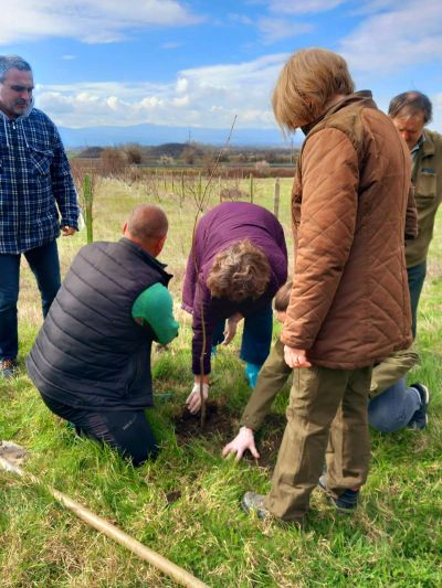 Представители на ДГС “Казанлък“ и кметство Шипка залесиха с медоносни фиданки край входа на подбалканското градче