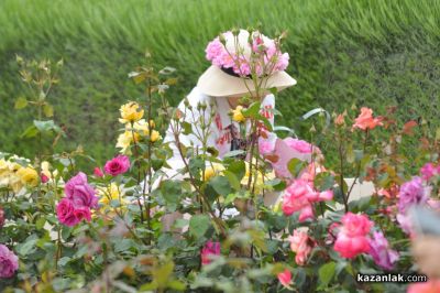 Дни на розата в “Дамасцена“ 2024 ви очакват за един незабравим уикенд