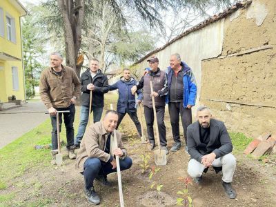 Близо 300 храсти и зелена растителност засади Ротари клуб – Казанлък в две детски градини в града