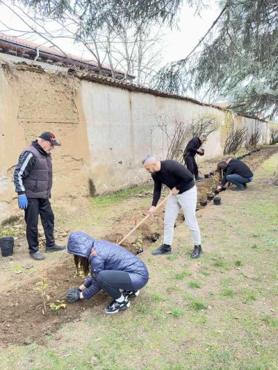 Близо 300 храсти и зелена растителност засади Ротари клуб – Казанлък в две детски градини в града
