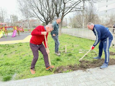 Близо 300 храсти и зелена растителност засади Ротари клуб – Казанлък в две детски градини в града