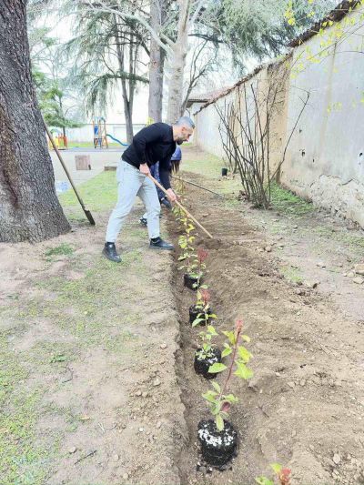 Близо 300 храсти и зелена растителност засади Ротари клуб – Казанлък в две детски градини в града