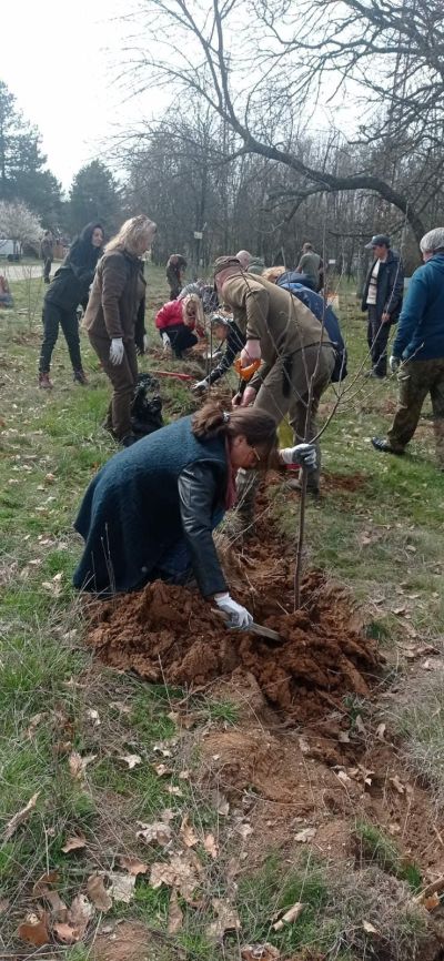 Акция по залесяване се проведе край бреговете на язовир Копринка