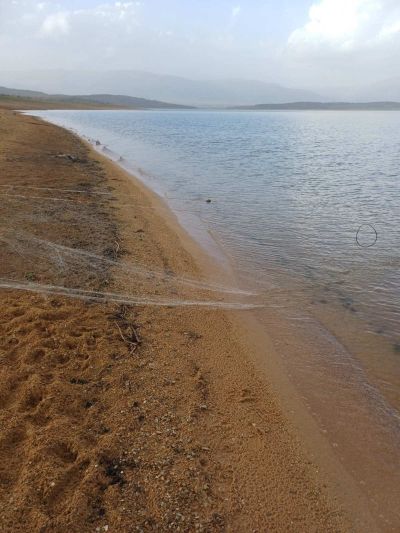 ИАРА освободи 300 кг риба в язовир “Жребчево“