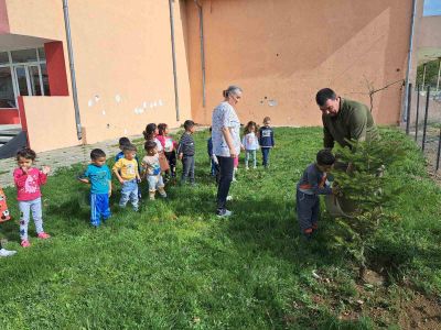 Служители на ТП „ДЛС Мазалат” залесиха с дръвчета в селата Тъжа, Манолово, Осетеново и Александрово