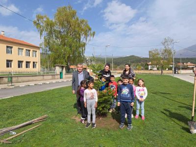 Служители на ТП „ДЛС Мазалат” залесиха с дръвчета в селата Тъжа, Манолово, Осетеново и Александрово