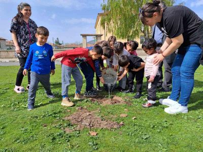 Служители на ТП „ДЛС Мазалат” залесиха с дръвчета в селата Тъжа, Манолово, Осетеново и Александрово