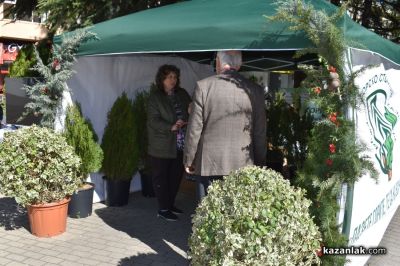 Хиляди фиданки раздадоха днес горските служители в центъра на Казналък