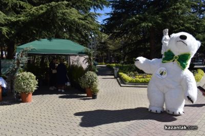 Хиляди фиданки раздадоха днес горските служители в центъра на Казналък