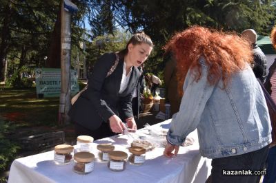 Хиляди фиданки раздадоха днес горските служители в центъра на Казналък