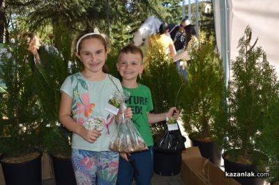 Хиляди фиданки раздадоха днес горските служители в центъра на Казналък