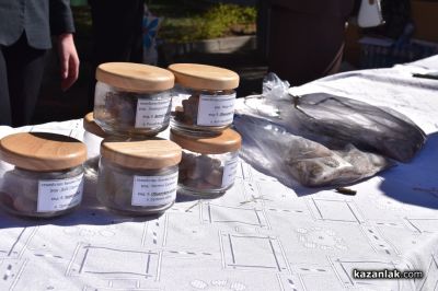 Хиляди фиданки раздадоха днес горските служители в центъра на Казналък