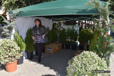 Хиляди фиданки раздадоха днес горските служители в центъра на Казналък