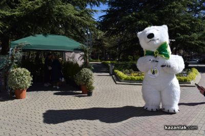 Хиляди фиданки раздадоха днес горските служители в центъра на Казналък