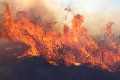 Пожар гори в района на военния полигон в Змейово / Новини от Казанлък