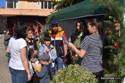 Хиляди фиданки раздадоха днес горските служители в центъра на Казналък