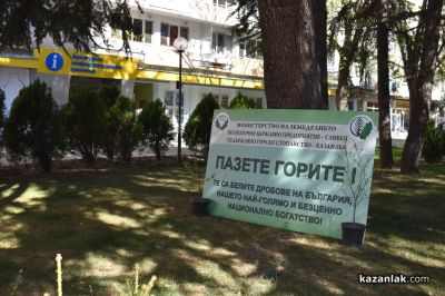 Хиляди фиданки раздадоха днес горските служители в центъра на Казналък